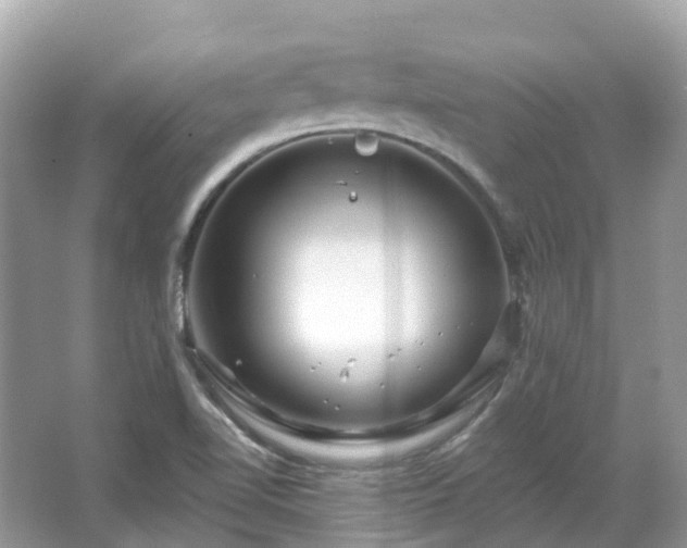 X0000066121510200603131314