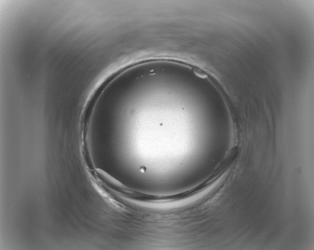 X0000066121511200603131314