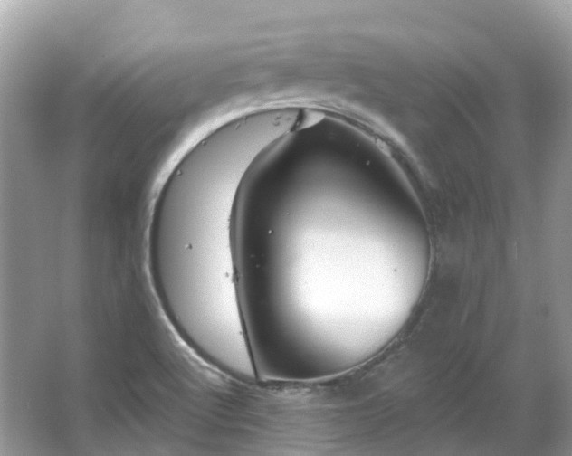 X0000066121512200603131314