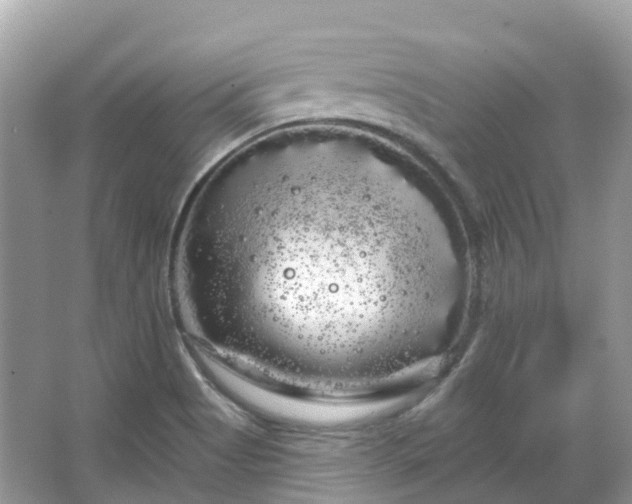 X0000066121513200603131315