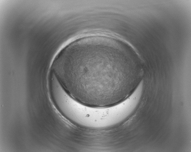 X0000066121514200603131315