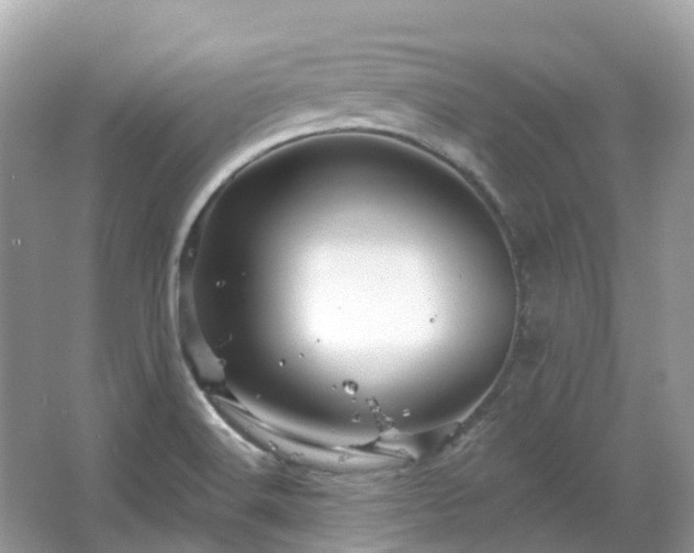 X0000066121516200603131315