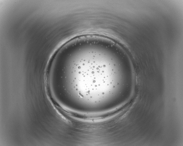 X0000066121517200603131315