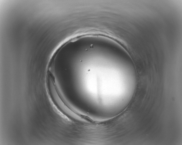 X0000066121518200603131315