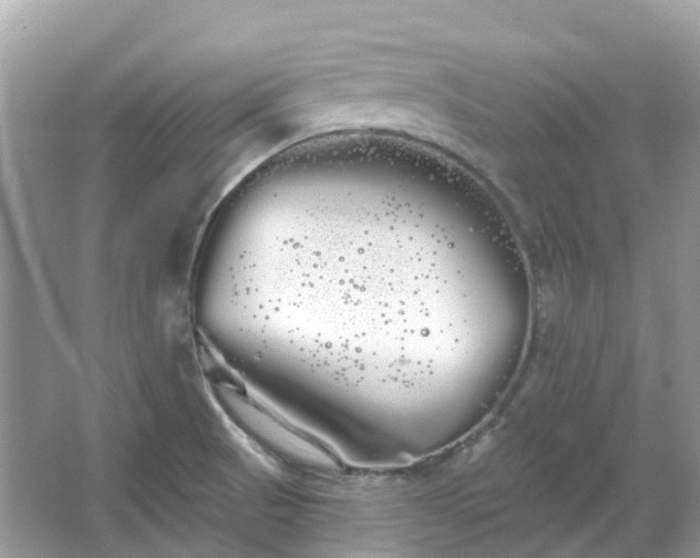 X0000066121521200603131315