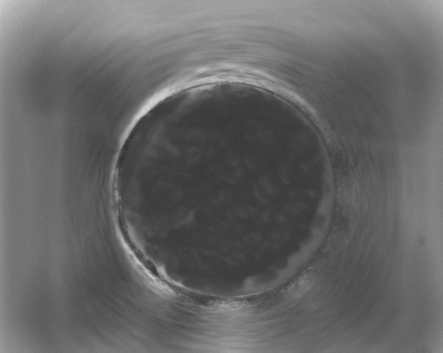 X0000066121522200603131315