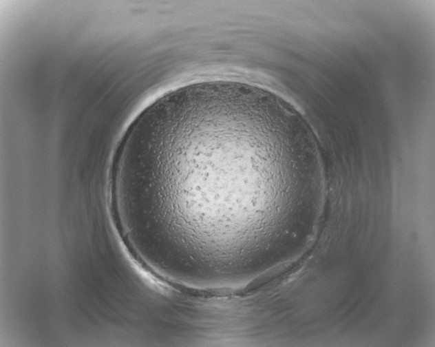 X0000066121523200603131315