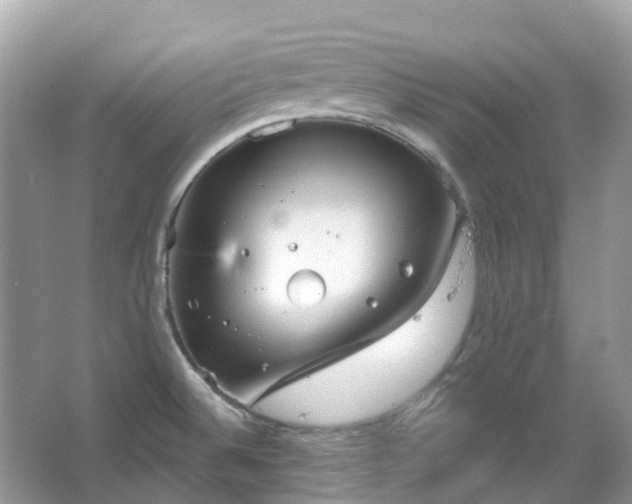 X0000066121524200603131315