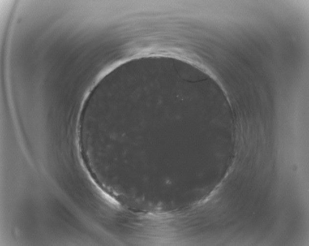 X0000066121525200603131315