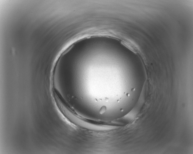 X0000066121528200603131315