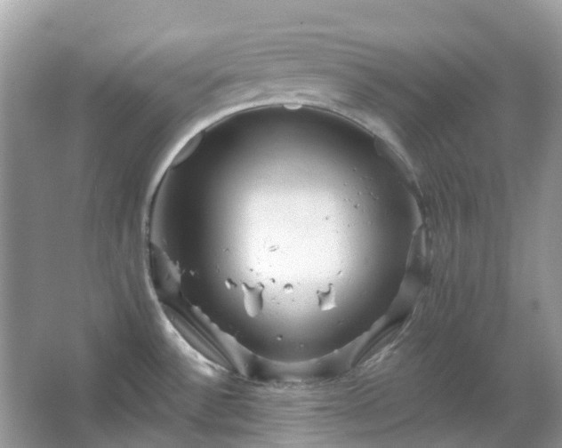 X0000066121532200603131315