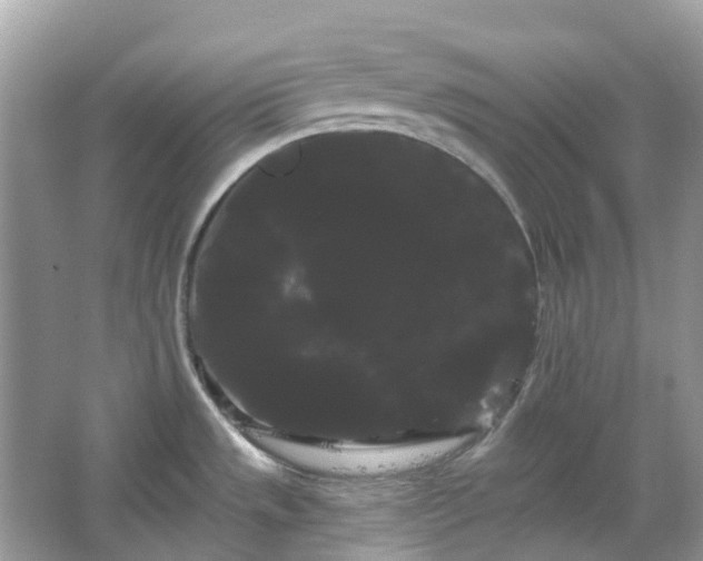 X0000066121533200603131315