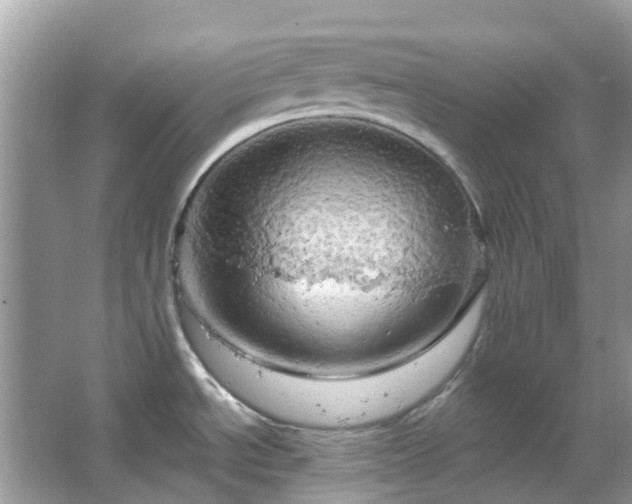 X0000066121534200603131315