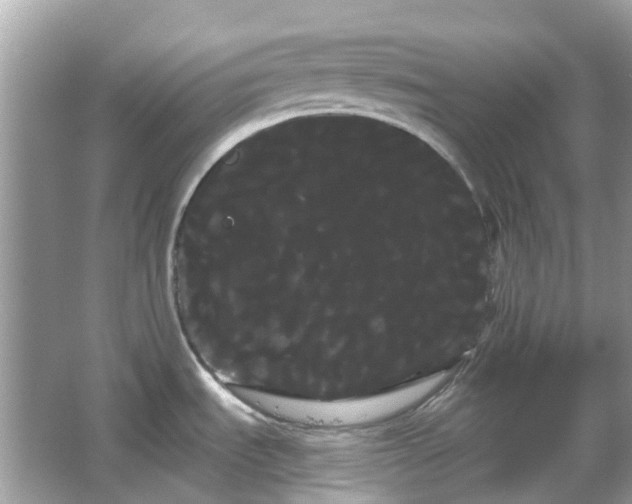 X0000066121535200603131315