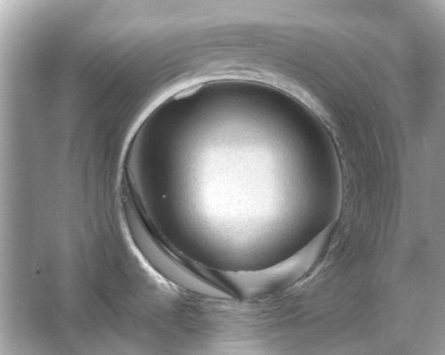 X0000066121536200603131315