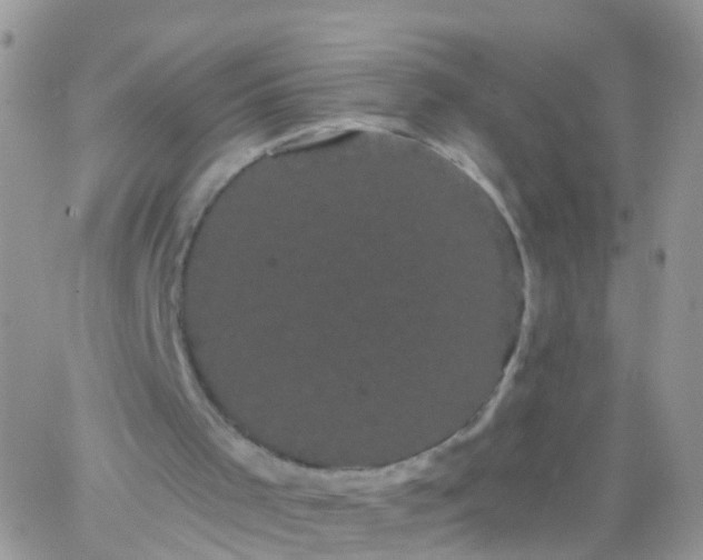 X0000066120001200603171805