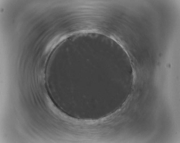 X0000066120002200603171805