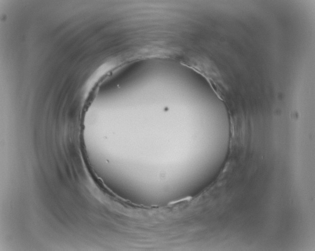 X0000066120003200603171805