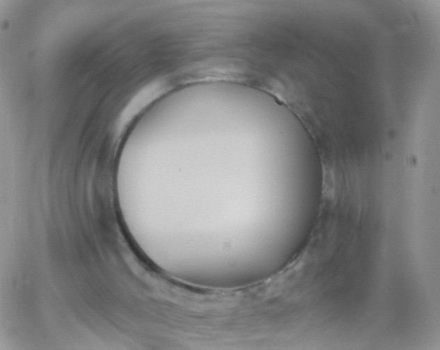 X0000066120004200603171805