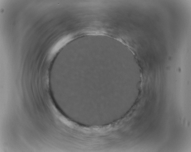 X0000066120005200603171805