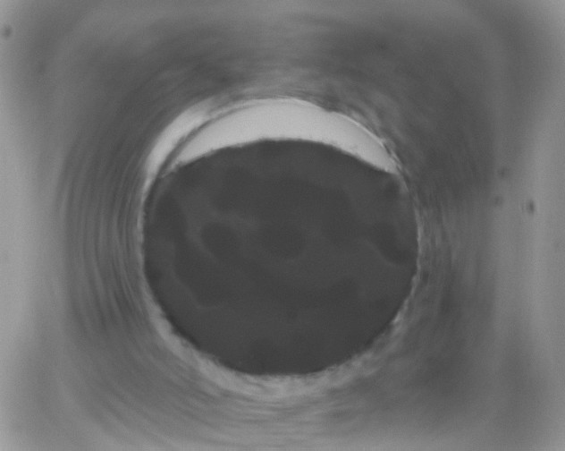 X0000066120006200603171805