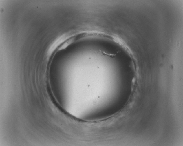 X0000066120007200603171805