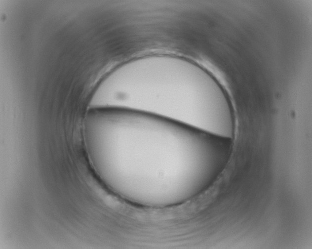 X0000066120009200603171805