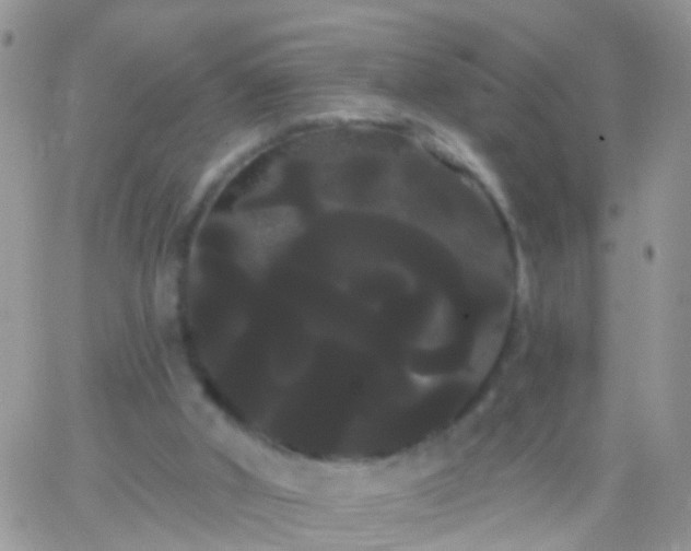 X0000066120010200603171805