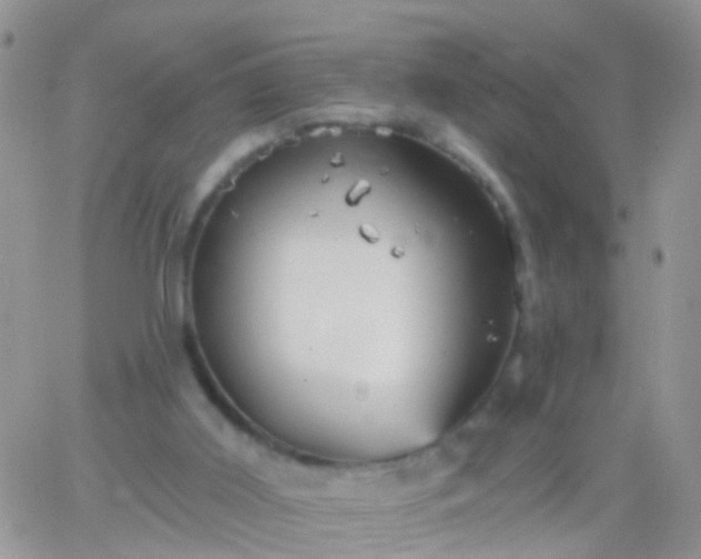 X0000066120011200603171805