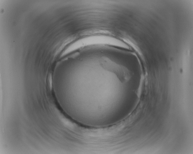 X0000066120013200603171805