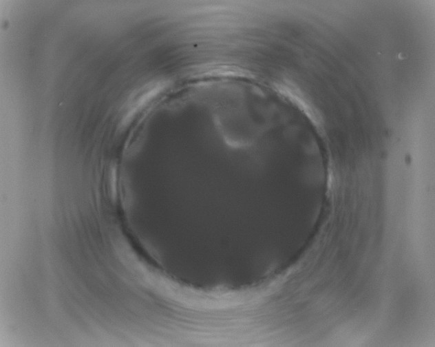 X0000066120014200603171805