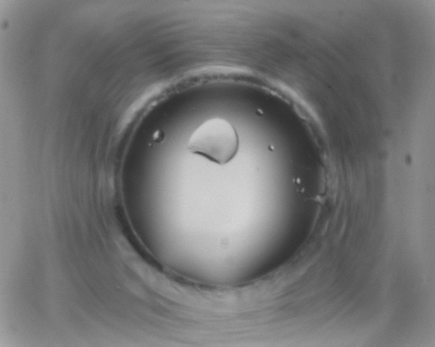 X0000066120015200603171805