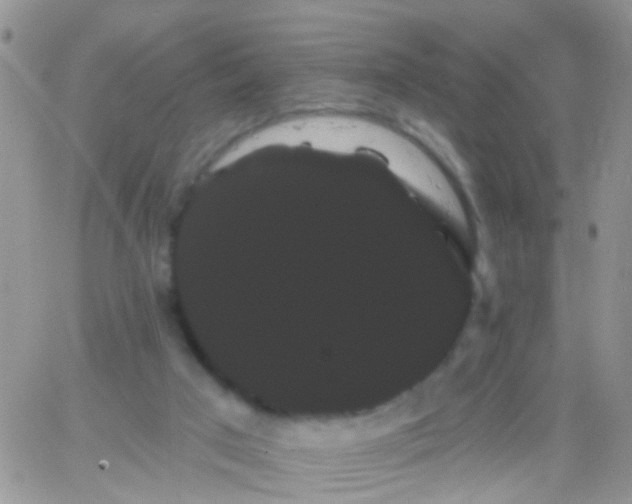 X0000066120017200603171805