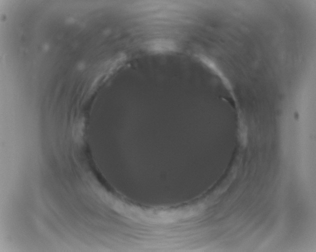 X0000066120018200603171805