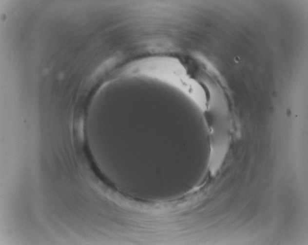 X0000066120019200603171805