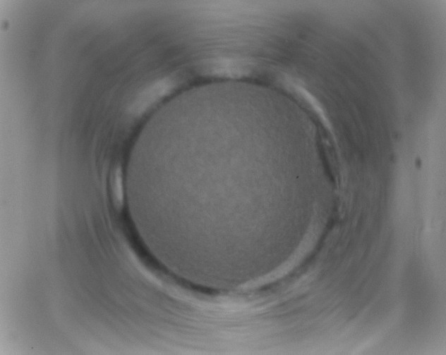 X0000066120020200603171805