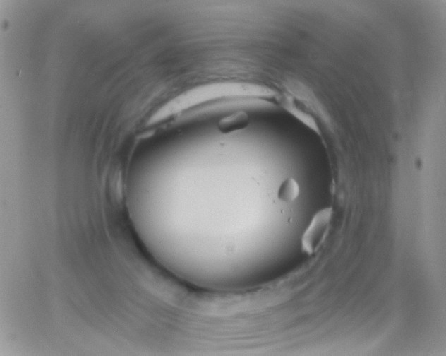 X0000066120021200603171805