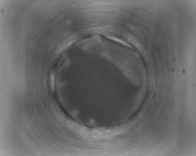 X0000066120022200603171805