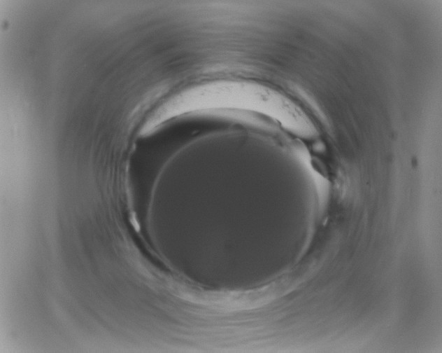 X0000066120023200603171805