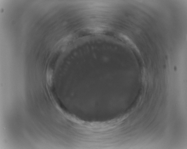 X0000066120026200603171805