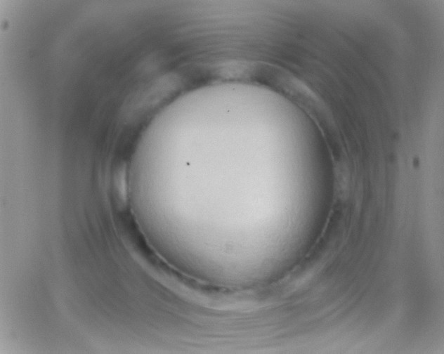 X0000066120028200603171805