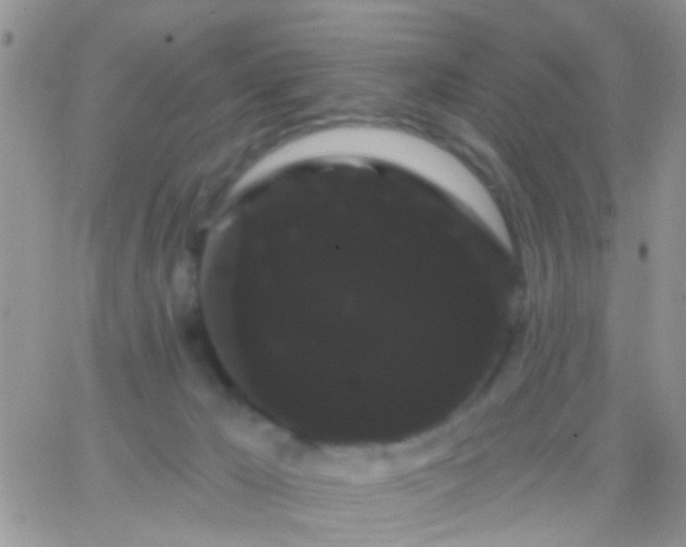 X0000066120029200603171805