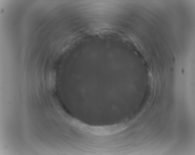 X0000066120030200603171805