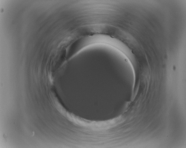 X0000066120031200603171805