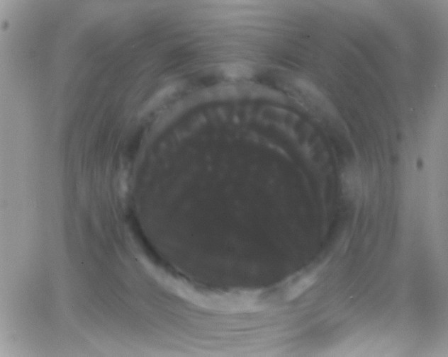 X0000066120032200603171805