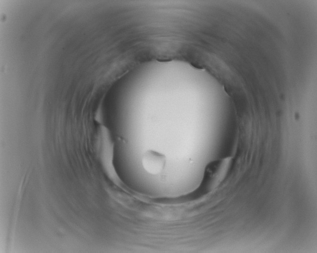 X0000066120033200603171805