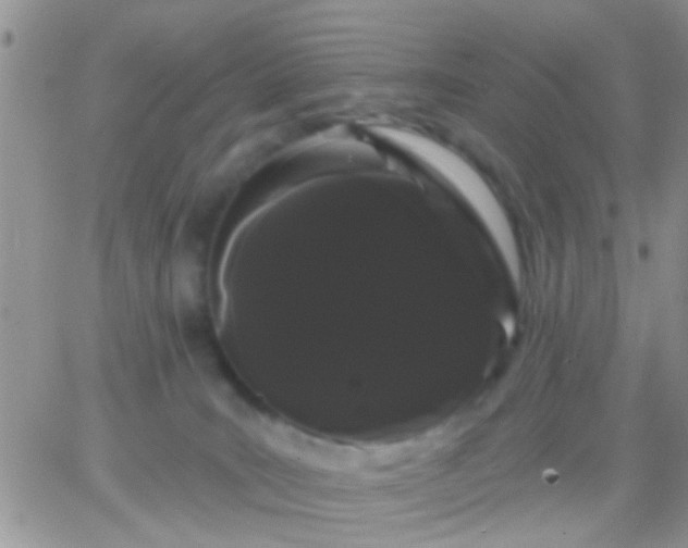 X0000066120035200603171805