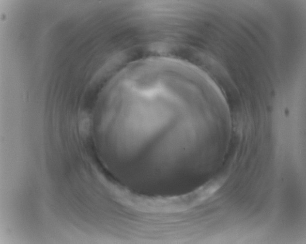 X0000066120036200603171805