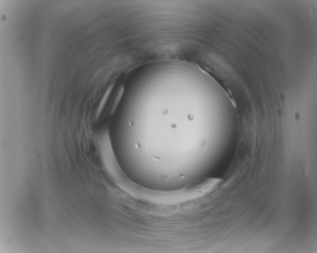 X0000066120037200603171805