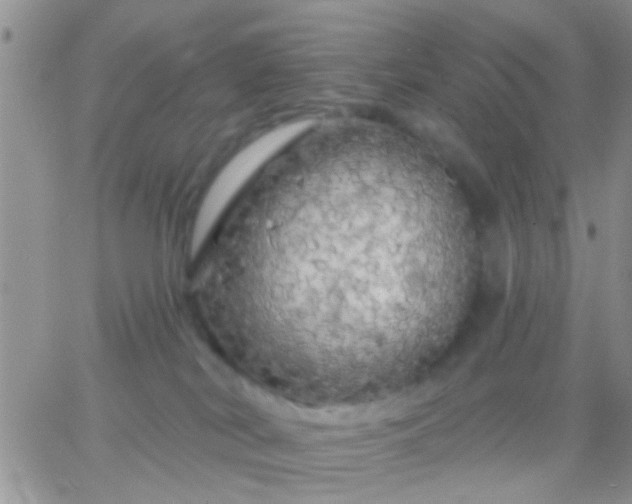 X0000066120038200603171805